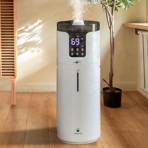Lacidoll Humidifier