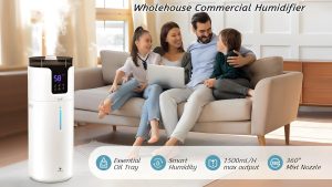 Best Humidifiers for Home